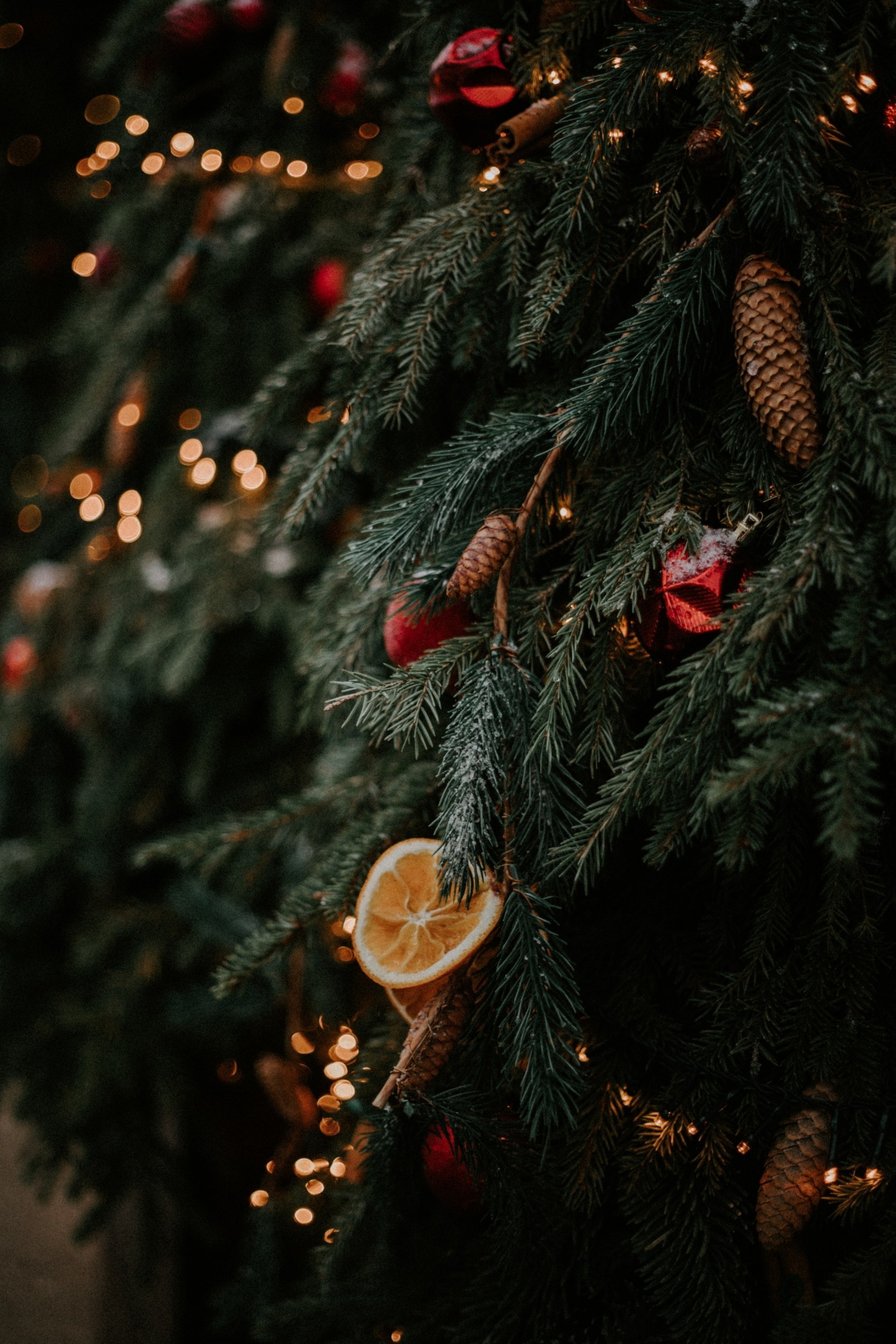 alsu_vershinina_1bv78fptxgi_unsplash.jpg