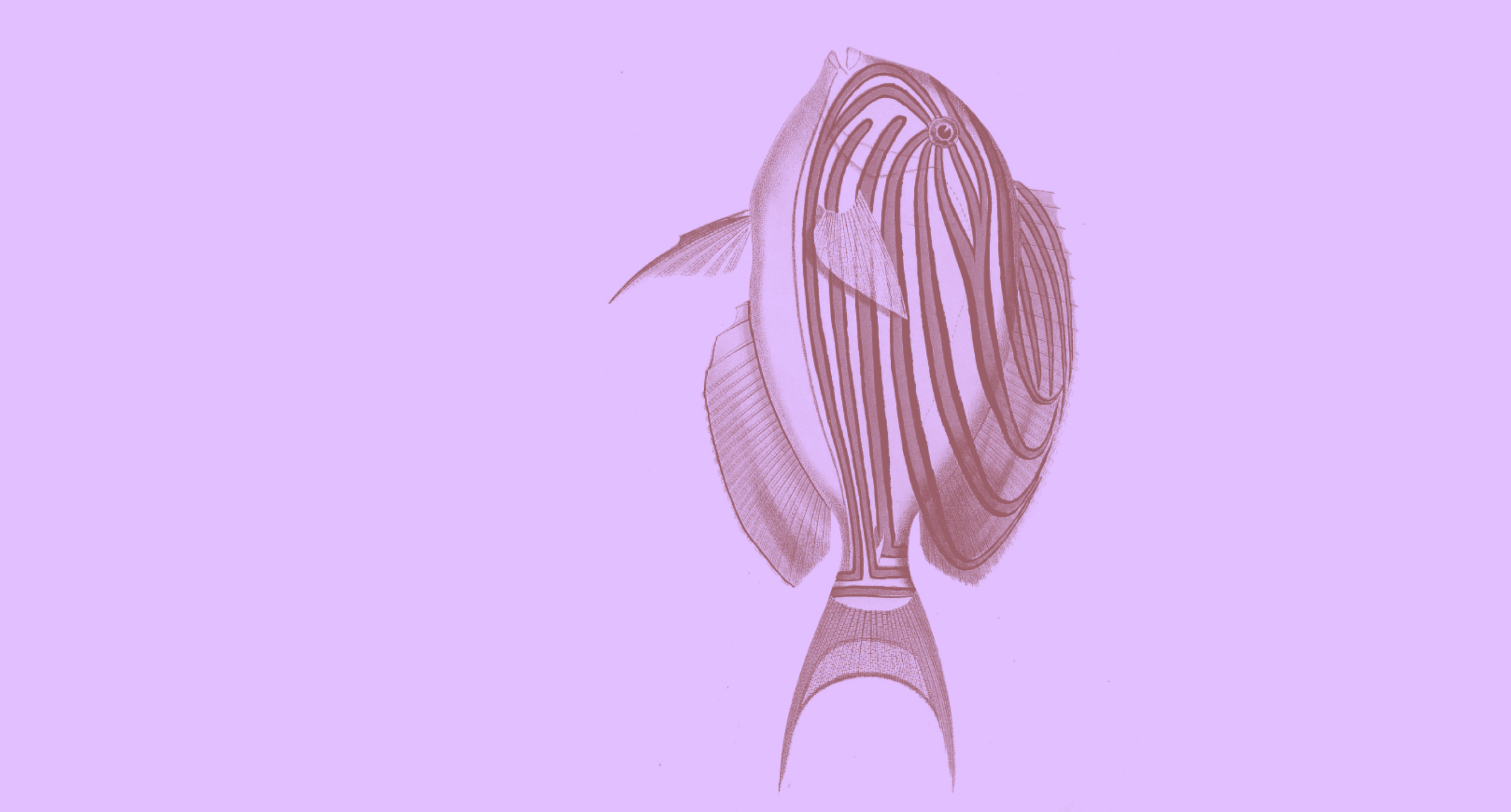passages_2026.png