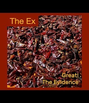 The Ex - Great! / The Evidence (Single 2024)