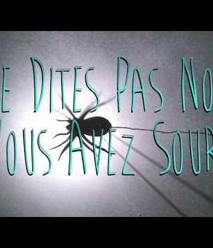 Le Cri des Insectes - Teaser