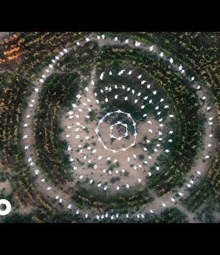 Pomme - jardin