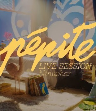PÉPITE — Nénuphar (live session)