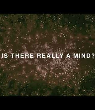 Swans - Paradise Is Mine (Lyric Video)