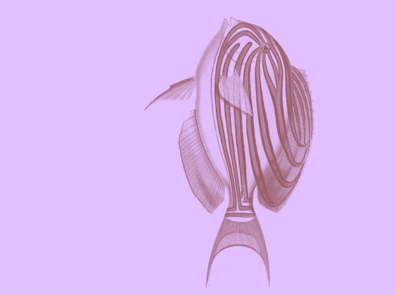 passages_2026.png