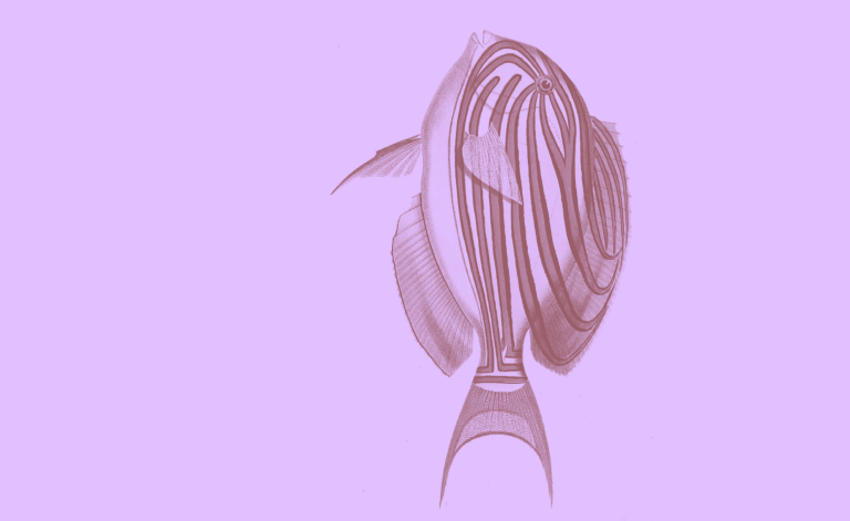 passages_2026.png